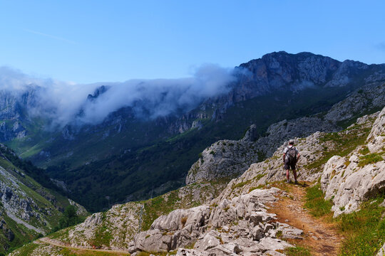 Hiker walking on Mount Camba in Picos de Europa National Park Spain