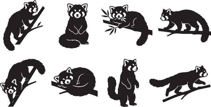 Raccoon icons, black silhouettes, raccoon set, vector graphics isolated on Transparent Background
