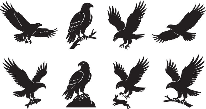 Eagle silhouettes, bird icons, flying eagles, wildlife graphics, black eagles isolated on Transparent Background