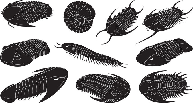 Trilobite fossils, ancient sea creatures, black silhouettes, vector illustrations, fossilized arthropods isolated on Transparent Background