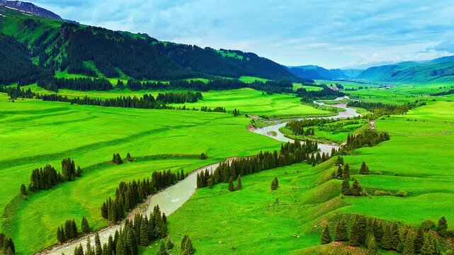Aerial view of the lush green grasslands and winding river of Nalati in Yili, Xinjiang, China, showcasing spectacular natural landscape.