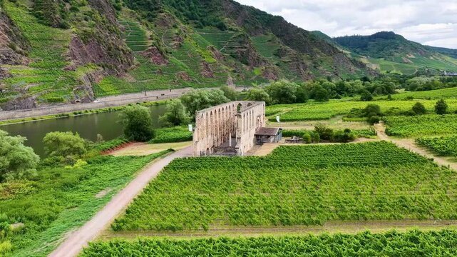 Detailreiche Drohnenaufnahme der historischen Klosterruine Stuben bei Bremm, umgeben von gr&uuml;nen Weinbergen mit Ausfl&uuml;glern und Fahrr&auml;dern auf dem Vorplatz.