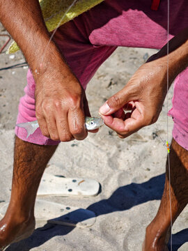 Close up of a fisherman's hands removing a hook from a freshly caught pejerrey fish