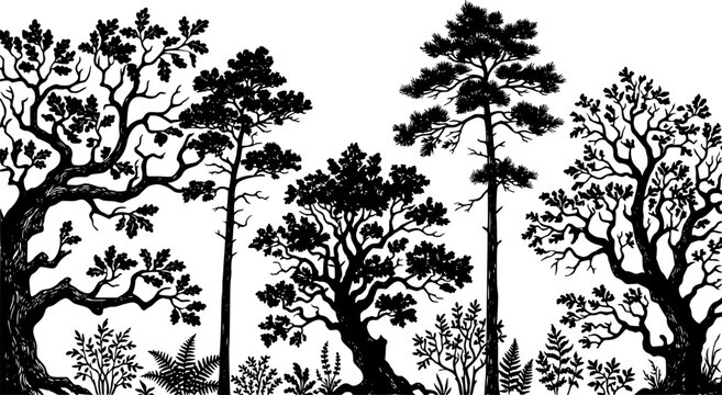 Tree silhouettes vector collection. Highly detailed realistic shapes of oak, pine, and bonsai trees with intricate branches and leaves, botanical nature elements isolated on white background.