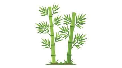 Naklejka premium Fresh Green Bamboo Stalks with Lush Leaves Illustration for Oriental Nature and Zen Garden Design Projects