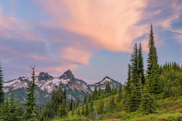 Obraz premium Snowy mountain peaks and evergreen forest under pink sunset sky
