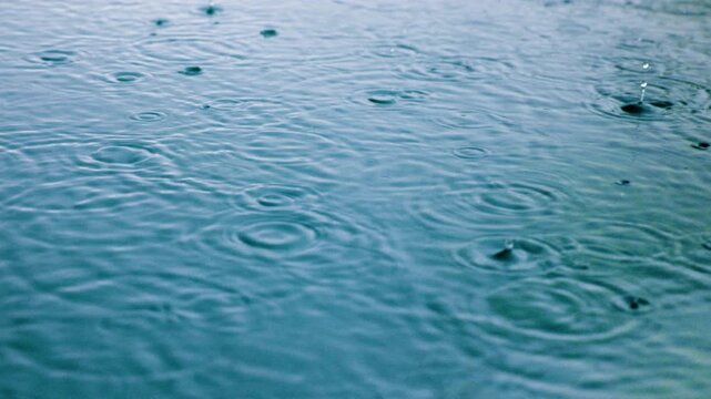 Rain falling on water creates mesmerizing circular ripples across a calm teal surface in slow motion. Raindrops splash and form concentric patterns as they disturb tranquil pond. Serene nature scene.