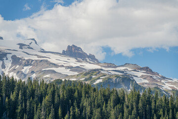 Obraz premium Snowy mountain peaks above evergreen forest in Washington state