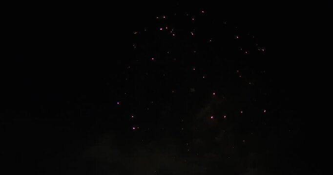 Colorful Fireworks Exploding Under The Night Sky - Low Shot