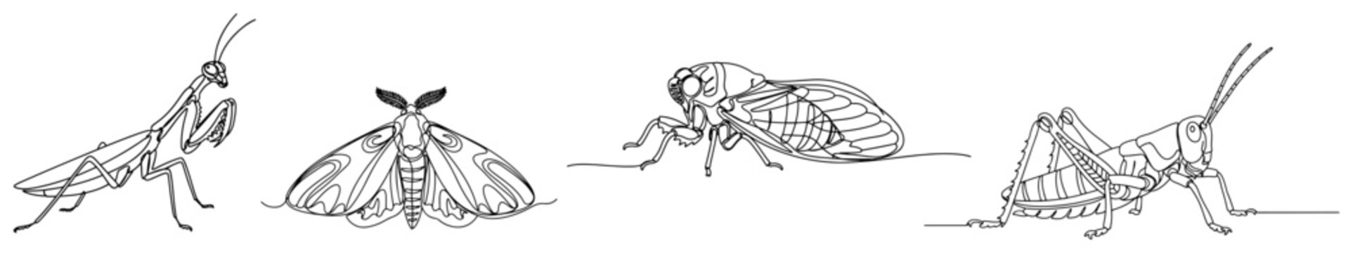 Insects collection featuring praying mantis moth cicada and grasshopper in minimalist continuous one line art style