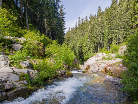 Mountain stream flowing through rocky forest in Washington