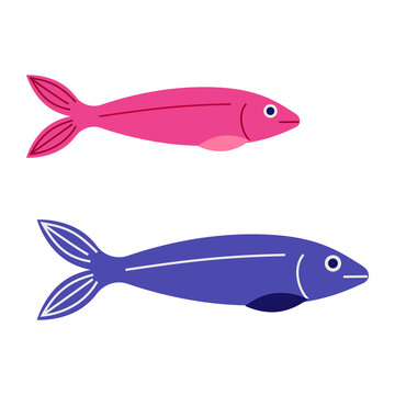 Colorful fish, sardine pair on transparent background. Fresh seafood icons for cooking, restaurant menus, grocery branding, healthy eating, recipe design, packaging, food illustrations. High-res PNG