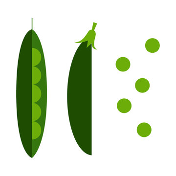 Green pea pod PNG with transparent background. Fresh vegetable clipart for healthy food, gardening, organic farming, recipe design, branding, protein, educational materials. High-res illustration