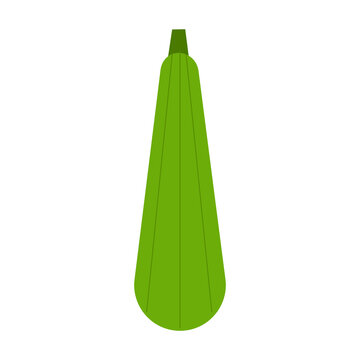 Zucchini squash bottle gourd PNG on transparent background. Green vegetable clipart for healthy food, gardening, recipe design, grocery branding, cooking, cookbooks, articles, nutrition projects