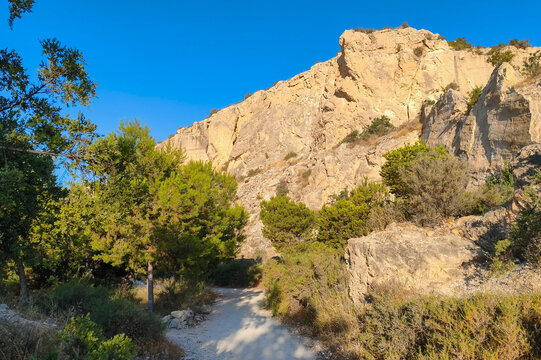 Mediterranean Trail with Pine Trees in Sierra Grossa, Alicante, Costa Blanca, Spain