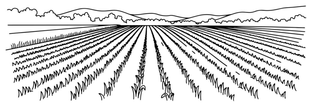 Cultivated agricultural field with rows of growing crops stretching to the horizon in line art style