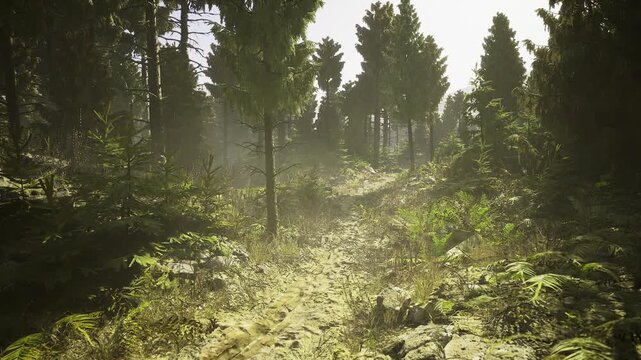 Misty green woodland with dappled sunlight through dense canopy, lush understory and fern patches, tranquil glade offering peaceful refuge and rich biodiversity