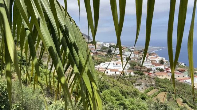 View through the palm leaves on a Coastal landscape of Isla Baja region from El Tanque viewpoint, Tenerife,Canary Islands,Spain,4K