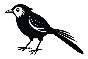 Fototapeta premium babbler bird silhouette line art vector illustration