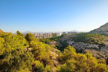Naklejka premium View over Modern Alicante from the Sierra Grossa Nature Trail, Alicante, Spain