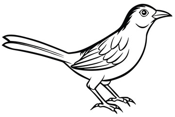 Fototapeta premium babbler bird silhouette line art vector illustration