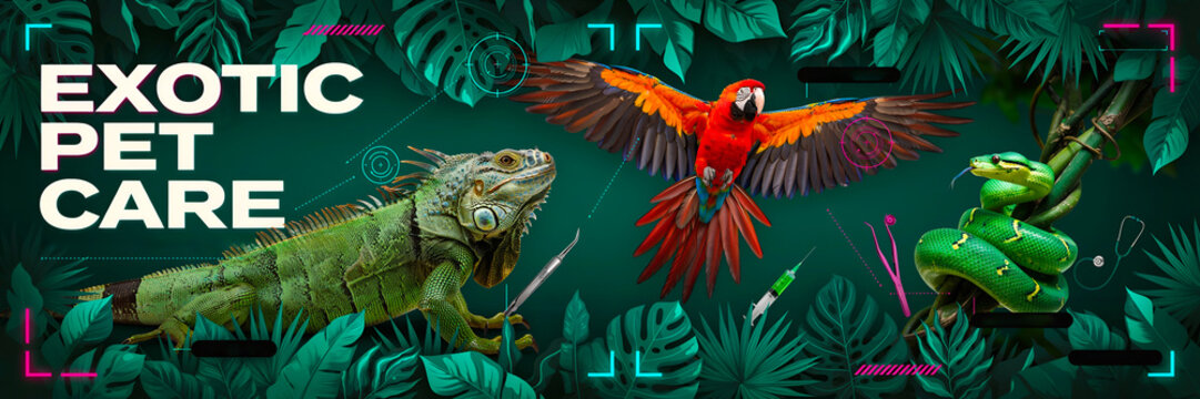 Exotic Pet Care Veterinary Guide with High Tech Interface for Reptile and Avian Species Medical Diagnostics and Specialized Animal Health Monitoring