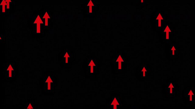 Animated graphic element of multiple red arrows rising up on black screen background for corporate success and business progress.