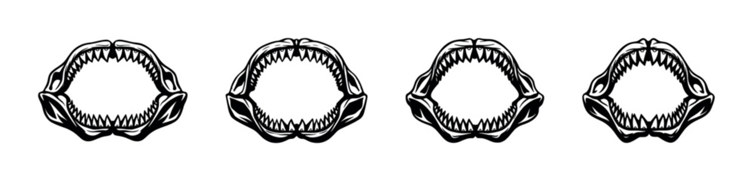 Set of four detailed black and white illustrations of shark jaws with sharp teeth