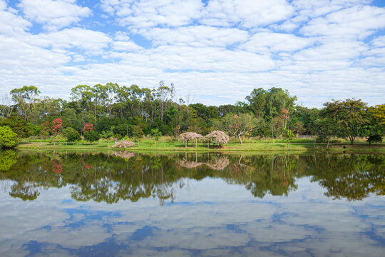 Uma paisagem grandeangular do Parque Leol&iacute;dio Di Ramos Caiado em Goiania, em dia claro de c&eacute;u carregado de nuvens.