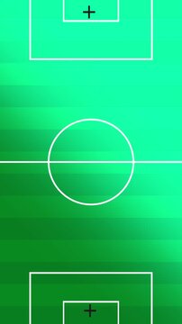 Soccer football field with green grass