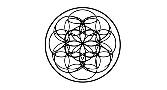 Intricate geometric mandala pattern with intersecting circles and flower shape