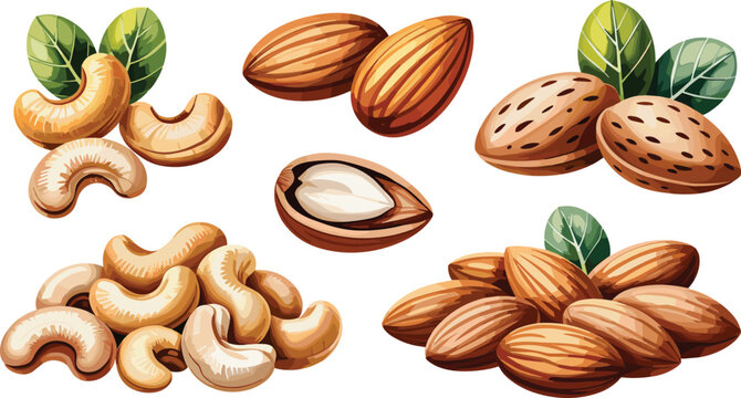 Nut collection featuring raw cashew kernels whole almonds textured hard shells and green leaves for healthy snack mix packaging design templates.