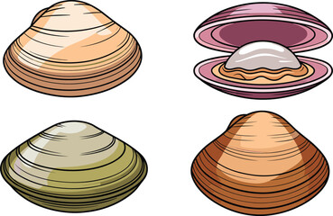Clams and bivalve shells set featuring open oyster with shiny pearl alongside closed cockles and mussels for seafood market branding culinary menus marine biology and coastal illustration design © IVY QUEEN