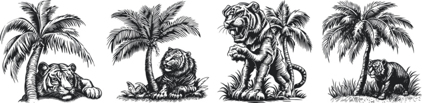 A vintage hand-drawn sketch featuring a tiger and lush jungle scene with palm trees, capturing wildlife and natural habitat details in monochrome line art style.