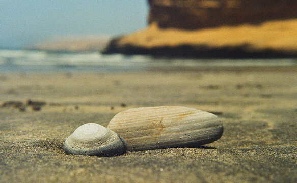 Beach Rocks in Paracas