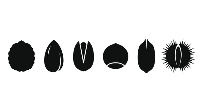 Flat vector icon set featuring six edible nut shells: walnut shell, almond shell, pistachio shell, hazelnut shell, pecan shell, chestnut burr