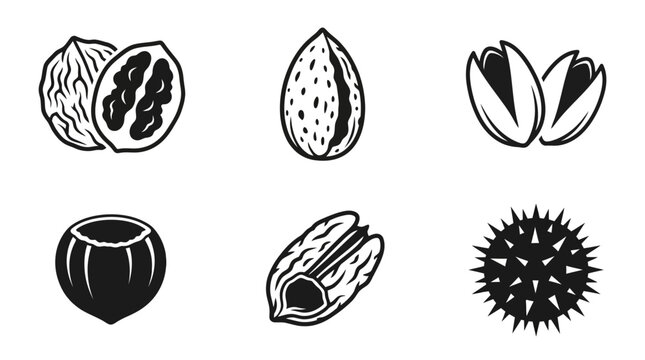 Flat vector icon set featuring six edible nut shells: walnut shell, almond shell, pistachio shell, hazelnut shell, pecan shell, chestnut burr