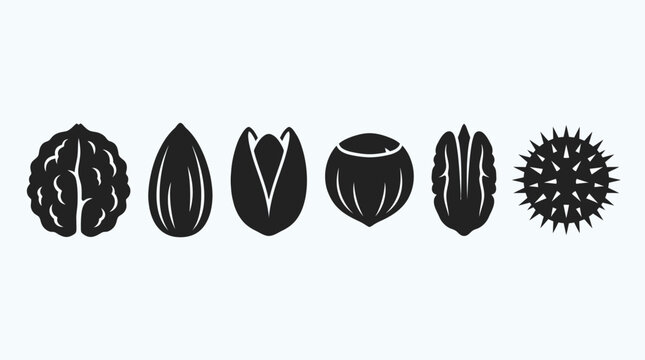 Flat vector icon set featuring six edible nut shells: walnut shell, almond shell, pistachio shell, hazelnut shell, pecan shell, chestnut burr