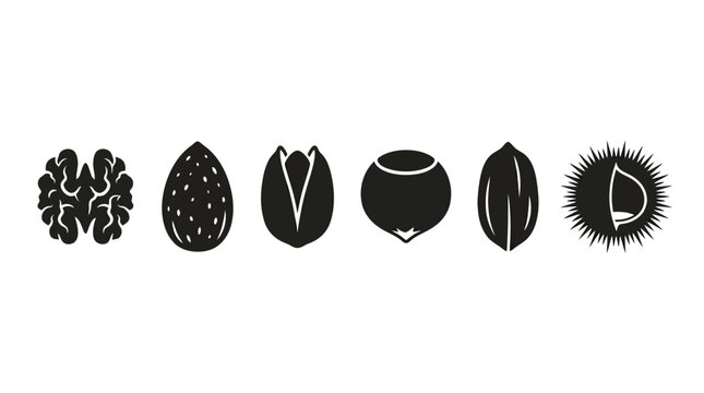 Flat vector icon set featuring six edible nut shells: walnut shell, almond shell, pistachio shell, hazelnut shell, pecan shell, chestnut burr