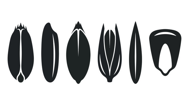 Flat vector icon set featuring six grain seeds: wheat grain, rice grain, barley grain, oat grain, rye grain, corn kernel