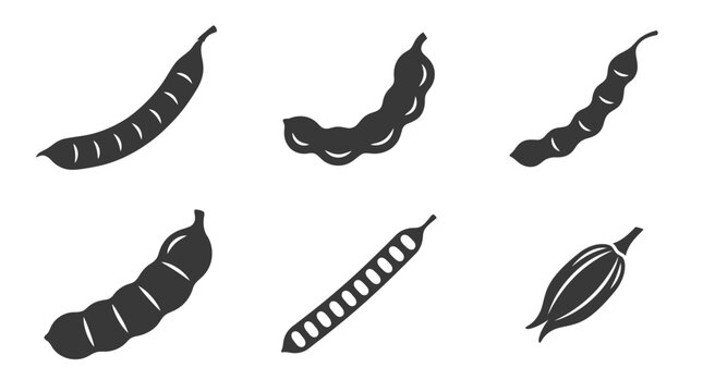 Flat vector icon set featuring six tropical seed pods: flamboyant pod, tamarind pod, acacia pod, rain tree pod, cassia pod, orchid seed capsule, monochrome solid silhouette