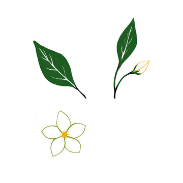 Hand drawn seamless lemon pattern with citrus flowers and green leaves