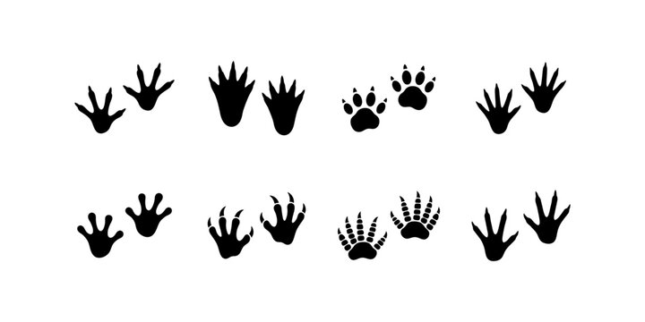 Set of black animal footprints on white background, various paw prints vector illustration, creature trace marks, wildlife steps, predator or prey tracks.
