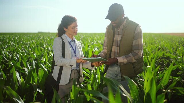 Two people talk in a corn field. One person has a clipboard. They discuss farming practices and share ideas about crops and agriculture. It is sunny and bright at the farm.