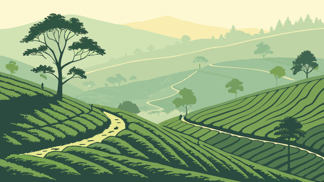 Rolling green tea plantation landscape with mountains and winding pathways