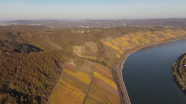 Bopparder Hamm Vineyard Terraces Aerial River Bend