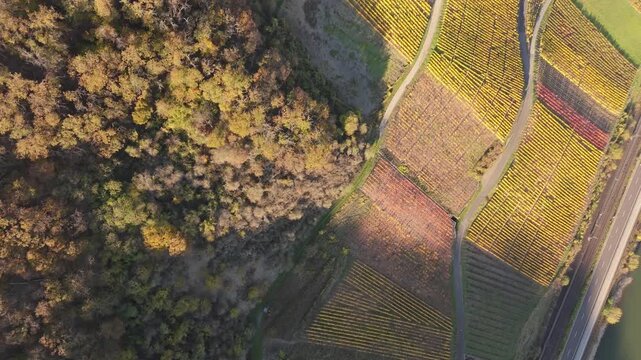 Vineyard Terrace Switchback Path Aerial Close Boppard