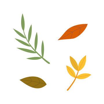 Autumn leaves and branches elements. Set of autumn nature decorative elements vector illustration.