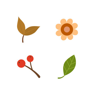 Autumn leaves,flower,berry elements. Set of autumn nature decorative elements vector illustration.