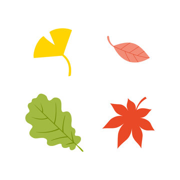 Autumn leaves various elements. Set of autumn nature decorative elements vector illustration.